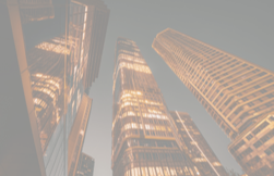 Мария Невежина выступила на заседании Российско-Германской ВТП